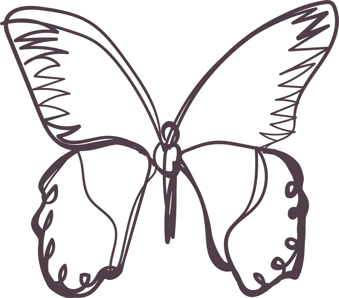 deep plum colored butterfly sketch