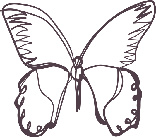 deep plum colored butterfly sketch